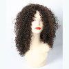 Black Wig Rose Net Wig Small Curly Wig